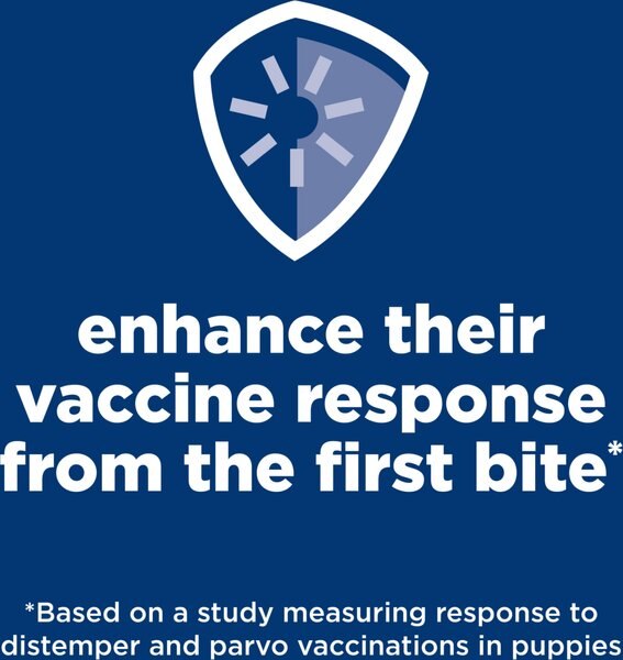 Chewy Hill's Science Diet Puppy Chicken & Brown Rice Recipe Dry Dog Food 15.5-lb Bag