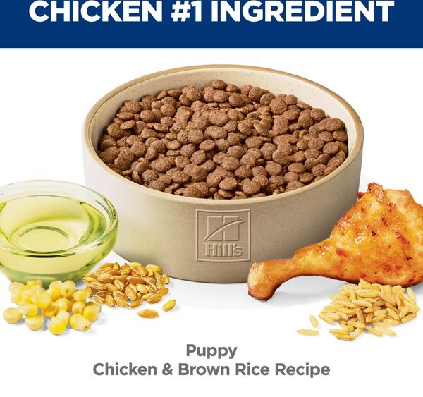 Chewy Hill's Science Diet Puppy Chicken & Brown Rice Recipe Dry Dog Food 15.5-lb Bag