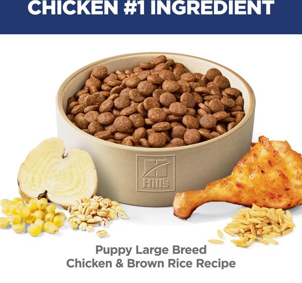 Chewy Hill's Science Diet Puppy Large Breed Chicken & Brown Rice Recipe Dry Dog Food 15.5-lb Bag