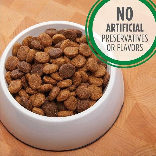 Chewy Iams Proactive Health Large Breed Adult With Real Chicken Dry Dog Food 30-lb Bag Bundle Of 2