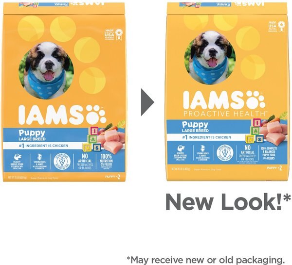 Chewy Iams Proactive Health Large Breed Puppy With Real Chicken Dry Dog Food 15-lb Bag