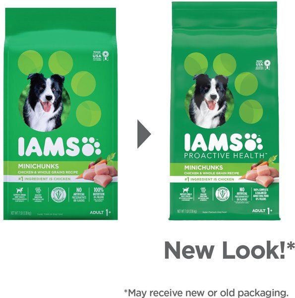 Chewy Iams Proactive Health Minichunks With Real Chicken & Whole Grains Dry Dog Food 7-lb Bag