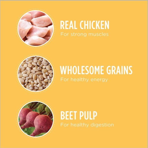 Chewy Iams Proactive Health Smart Puppy With Real Chicken Dry Dog Food 15-lb Bag Bundle Of 2