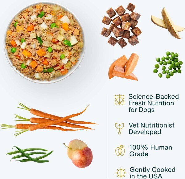 Chewy JustFoodForDogs Beef & Russet Potato Recipe Frozen Human-Grade Fresh Dog Food 5.5-oz Pouch Case Of 18