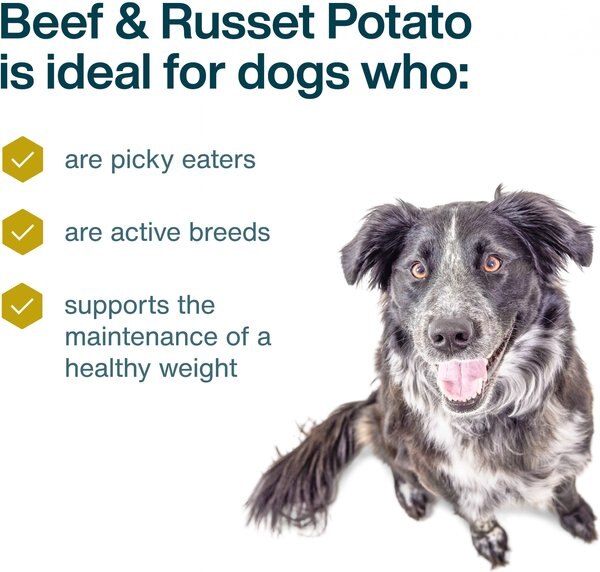 Chewy JustFoodForDogs Beef & Russet Potato Recipe Frozen Human-Grade Fresh Dog Food 5.5-oz Pouch Case Of 18