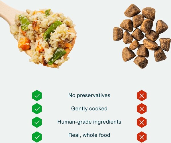 Chewy JustFoodForDogs Pantry Fresh Human-Grade Non-GMO Variety Pack Fresh Dog Food 12.5-oz Pouch Case Of 8