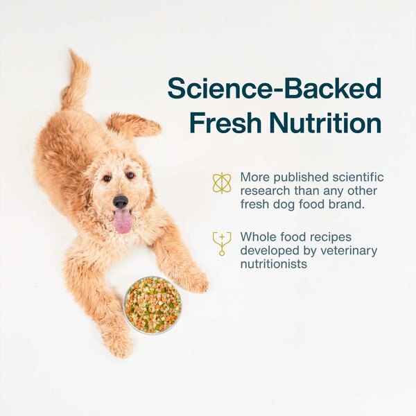 Chewy JustFoodForDogs Pantry Fresh Human-Grade Non-GMO Variety Pack Fresh Dog Food 12.5-oz Pouch Case Of 8