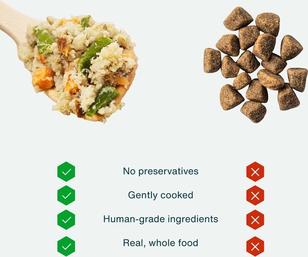 Chewy JustFoodForDogs Sampler Variety Box Frozen Human-Grade Fresh Dog Food 18-oz Pouch Case Of 7