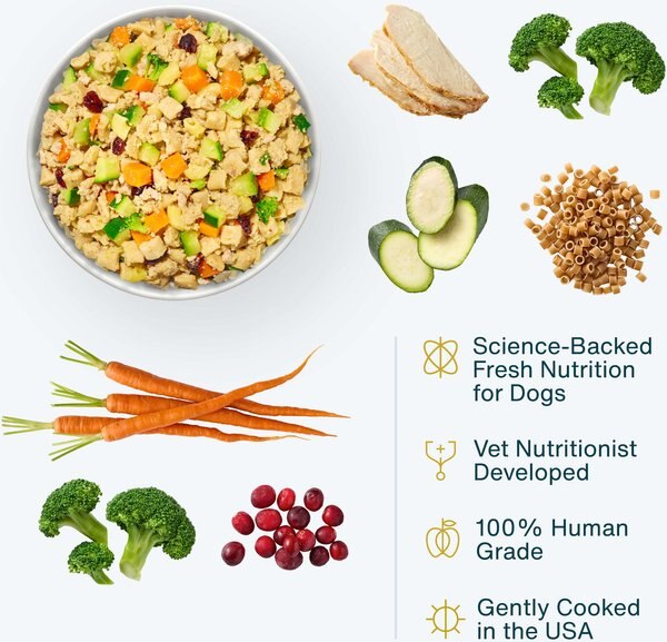 Chewy JustFoodForDogs Turkey & Whole Wheat Macaroni Recipe Frozen Human-Grade Fresh Dog Food 18-oz Pouch Case Of 14