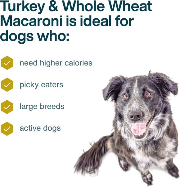 Chewy JustFoodForDogs Turkey & Whole Wheat Macaroni Recipe Frozen Human-Grade Fresh Dog Food 18-oz Pouch Case Of 14