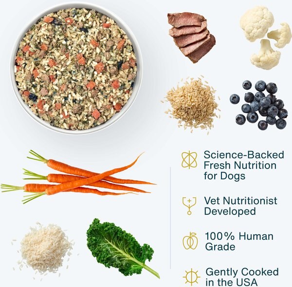 Chewy JustFoodForDogs Veterinary Diet Renal Support Low Protein Frozen Human-Grade Fresh Dog Food 18-oz Pouch Case Of 21