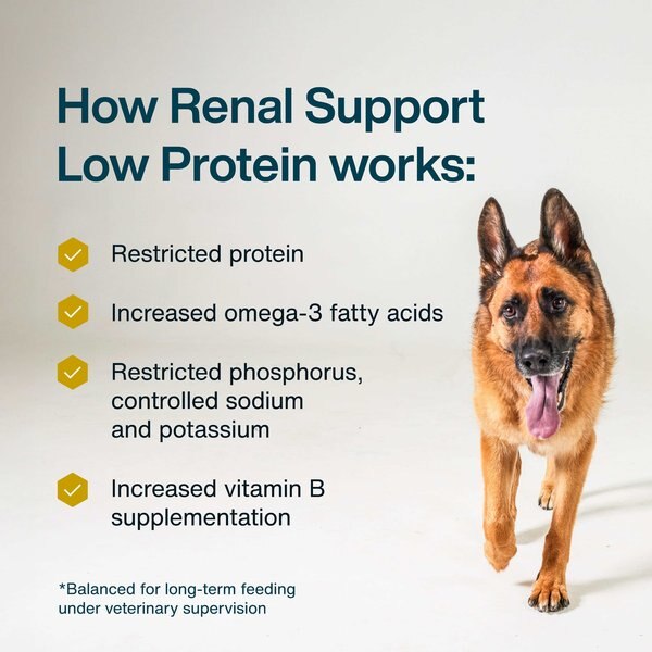 Chewy JustFoodForDogs Veterinary Diet Renal Support Low Protein Frozen Human-Grade Fresh Dog Food 18-oz Pouch Case Of 21