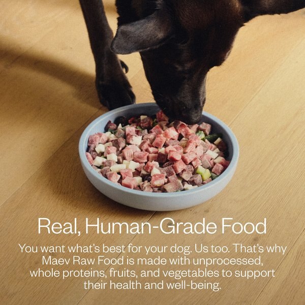 Chewy MAEV Hip & Joint Human-Grade Raw Frozen Beef Dog Food 20-lb Bundle