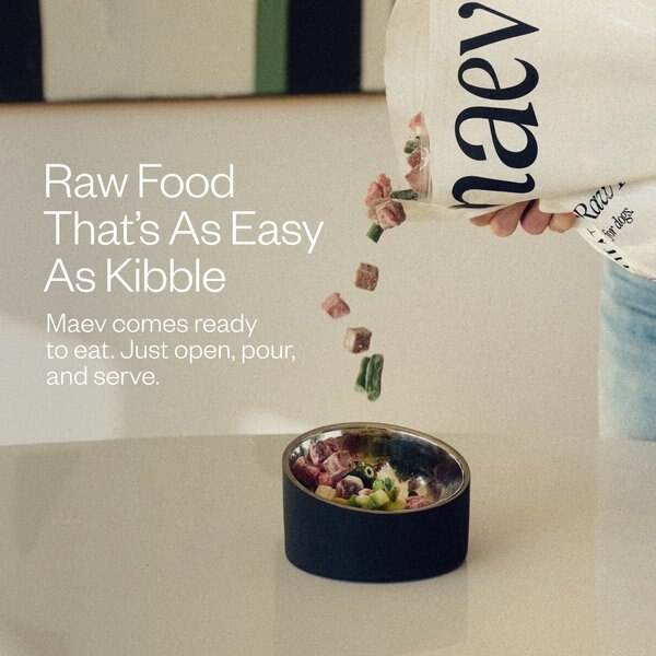 Chewy MAEV Weight & Digestion Human-Grade Raw Frozen Beef Dog Food 15-lb Bundle