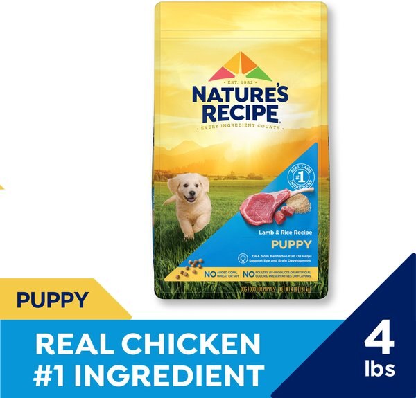 Chewy Nature's Recipe Grain-Free Puppy Chicken Sweet Potato & Pumpkin Recipe Dry Dog Food 4-lb Bag