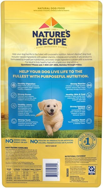 Chewy Nature's Recipe Grain-Free Puppy Chicken Sweet Potato & Pumpkin Recipe Dry Dog Food 4-lb Bag