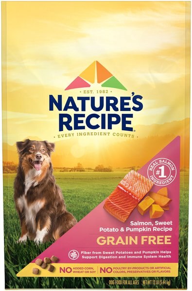 Chewy Nature's Recipe Grain-Free Salmon Sweet Potato & Pumpkin Recipe Dry Dog Food 12-lb Bag