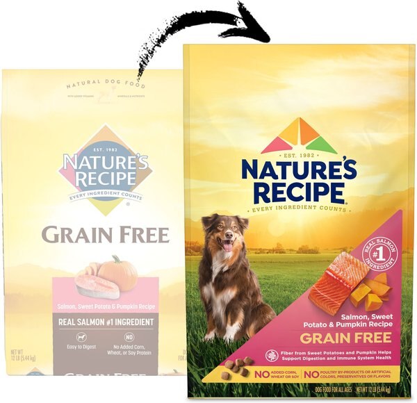 Chewy Nature's Recipe Grain-Free Salmon Sweet Potato & Pumpkin Recipe Dry Dog Food 12-lb Bag