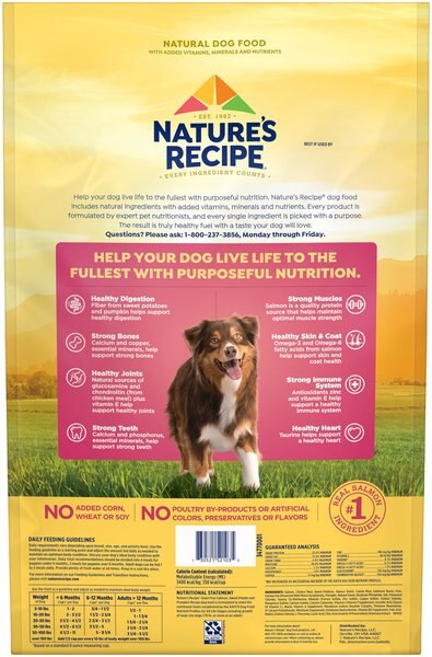 Chewy Nature's Recipe Grain-Free Salmon Sweet Potato & Pumpkin Recipe Dry Dog Food 12-lb Bag