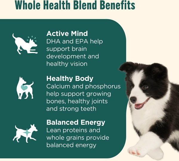 Chewy Nutrish Whole Health Blend Puppy Real Chicken & Brown Rice Recipe Dry Dog Food 14-lb Bag