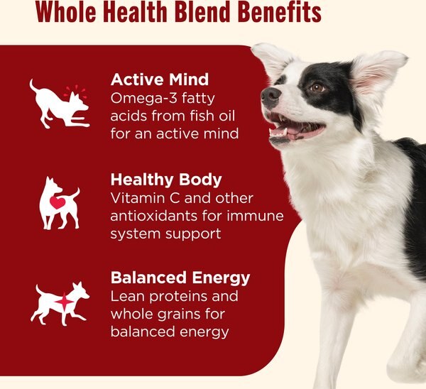 Chewy Nutrish Whole Health Blend Real Beef Pea & Brown Rice Recipe Dry Dog Food 6-lb Bag