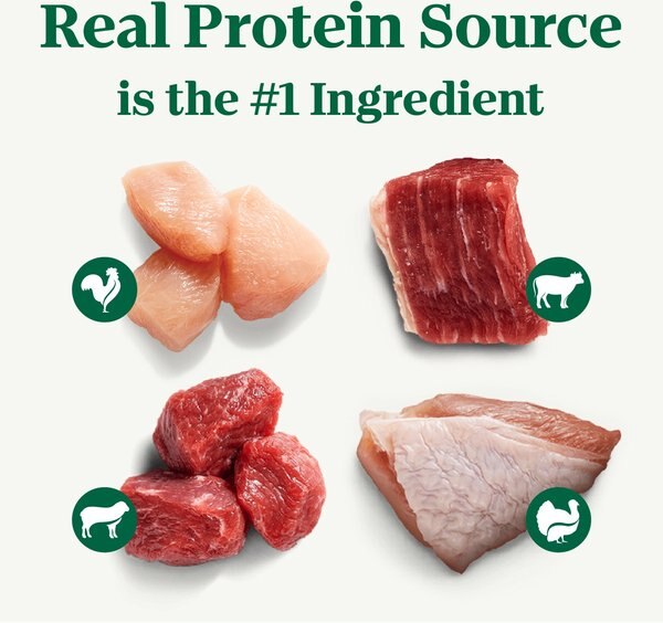 Chewy Nutro Grain-Free Beef Chicken Turkey & Lamb Stew Cuts In Gravy Variety Pack Adult Wet Dog Food 3.5-oz Tray Case Of 36