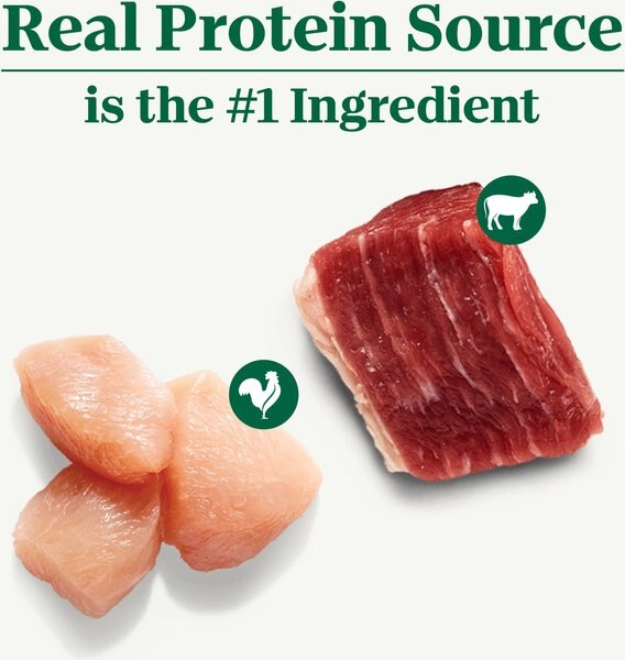 Chewy Nutro Hearty Stew Variety Pack Chunky Beef Tomato Carrot & Pea Stew & Tender Chicken Adult Wet Dog Food 12.5-oz Can Case Of 12