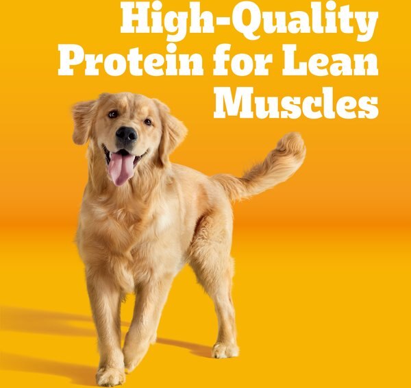 Chewy Pedigree Complete Nutrition Roasted Chicken & Vegetable Flavor Dog Kibble Adult Dry Dog Food 44-lb Bag