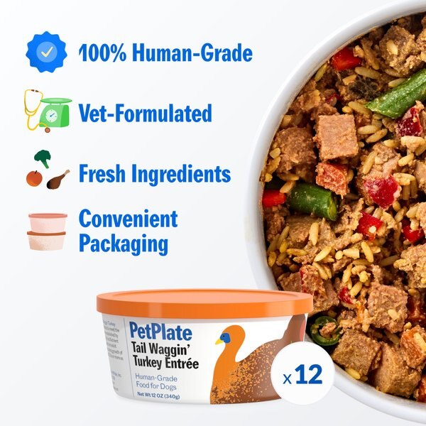 Chewy PetPlate Human Grade Tail Waggin' Turkey Entree Fresh Dog Food 12-oz Cup Case Of 12