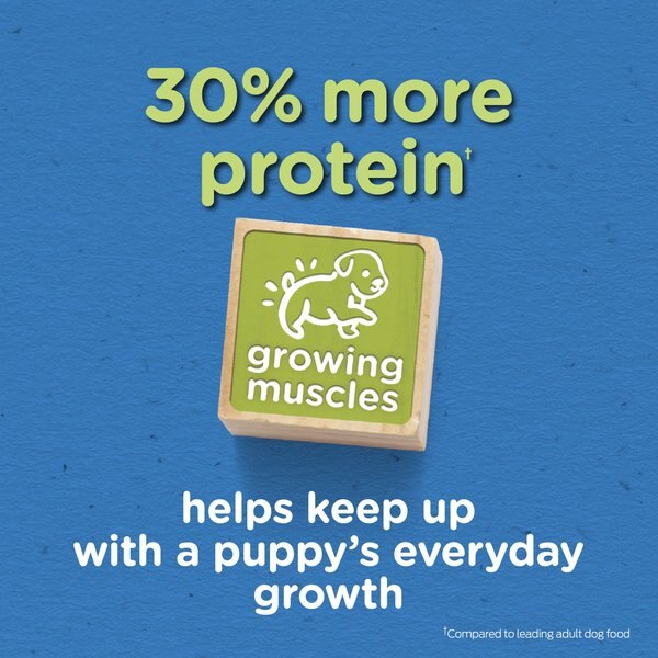 Chewy Puppy Chow Complete With Real Chicken Dry Dog Food 4-lb Bag