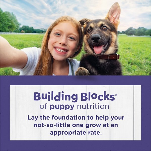 Chewy Puppy Chow High Protein With Real Chicken Large Breed Dry Puppy Food 30-lb Bag