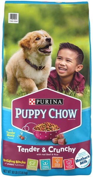 Chewy Puppy Chow Tender & Crunchy with Real Beef Dry Dog Food 30-lb bag