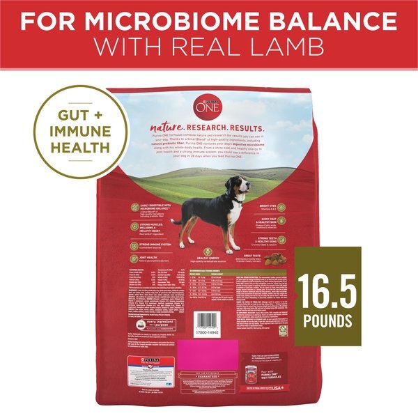 Chewy Purina ONE Natural SmartBlend Lamb & Rice Formula Dry Dog Food 16.5-lb Bag