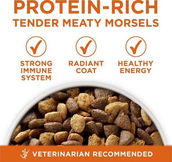 Chewy Purina ONE +Plus Adult High-Protein Healthy Weight Formula Turkey Formula Dry Dog Food 16.5-lb Bag