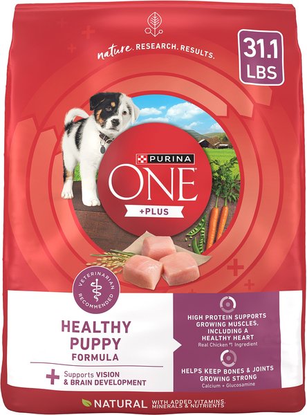 Chewy Purina ONE +Plus High Protein Healthy Puppy Formula Dry Puppy Food 31.1-lb Bag