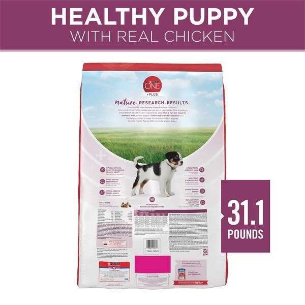 Chewy Purina ONE +Plus High Protein Healthy Puppy Formula Dry Puppy Food 31.1-lb Bag