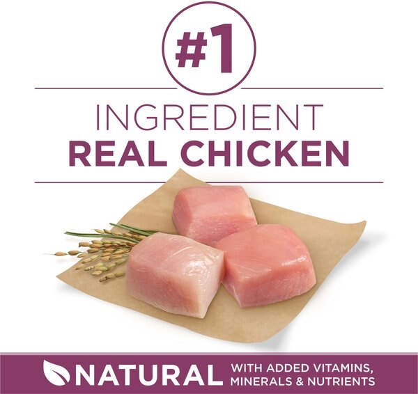 Chewy Purina ONE +Plus Natural High Protein Healthy Puppy Chicken Formula Dry Puppy Food 8-lb Bag