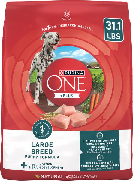 Chewy Purina ONE +Plus Natural Large Breed Formula Dry Puppy Food 31.1-lb Bag