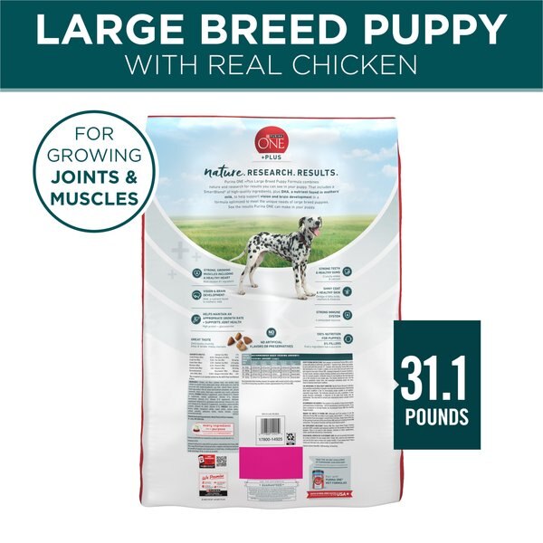Chewy Purina ONE +Plus Natural Large Breed Formula Dry Puppy Food 31.1-lb Bag