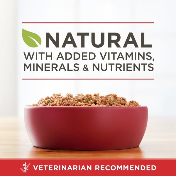 Chewy Purina ONE SmartBlend Classic Ground Beef & Brown Rice Entree Adult Canned Dog Food 13-oz Can Case Of 12