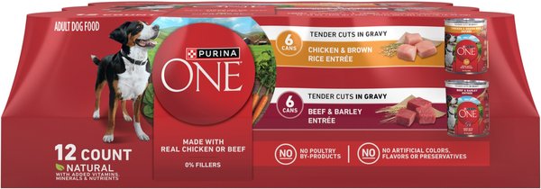 Chewy Purina ONE SmartBlend Tender Cuts In Gravy Variety Pack Wet Dog Food 13-oz Can Case Of 12