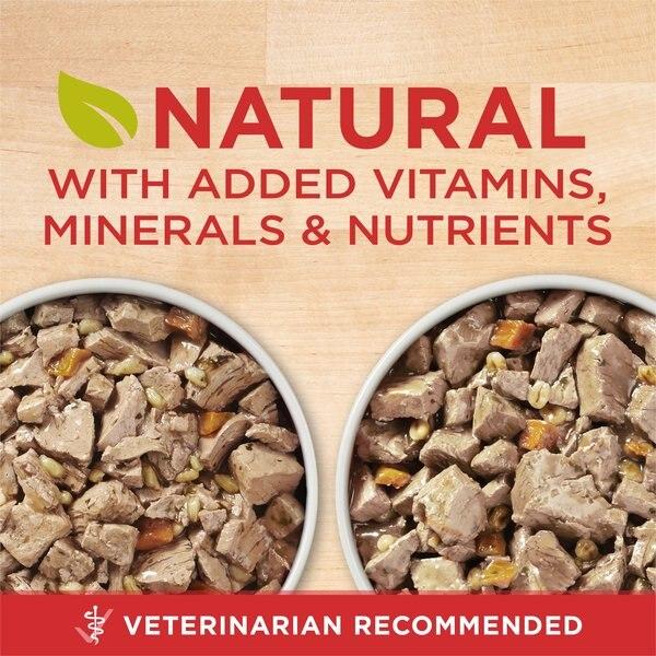 Chewy Purina ONE SmartBlend Tender Cuts In Gravy Variety Pack Wet Dog Food 13-oz Can Case Of 12