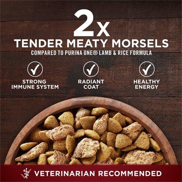 Chewy Purina ONE True Instinct Natural High Protein With Real Turkey & Venison Dry Dog Food 15-lb Bag