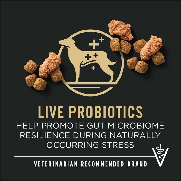 Chewy Purina Pro Plan 7+ Complete Essentials Shredded Blend Beef & Rice Formula High Protein Dog Food 18-lb Bag