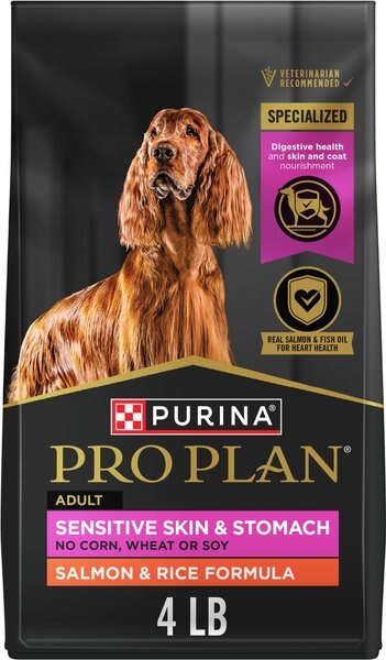 Chewy Purina Pro Plan Adult Sensitive Skin & Stomach Salmon & Rice Formula Dry Dog Food 4-lb Bag