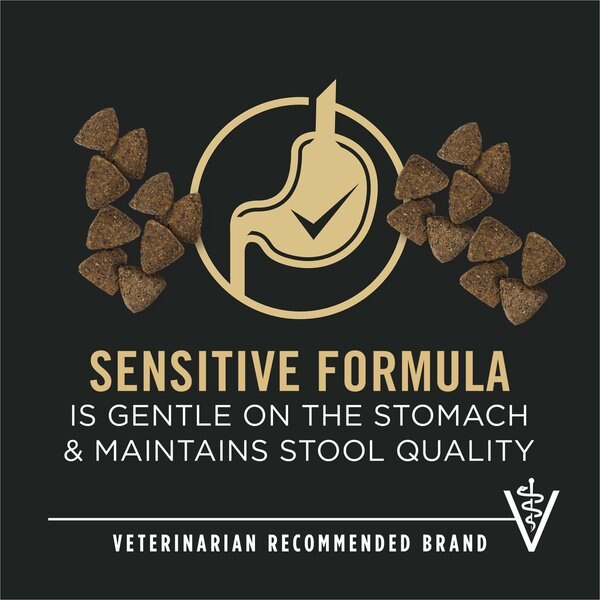 Chewy Purina Pro Plan Adult Sensitive Skin & Stomach Salmon & Rice Formula Dry Dog Food 4-lb Bag