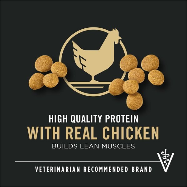 Chewy Purina Pro Plan High Protein Chicken & Rice Formula Large Breed Dry Puppy Food 18-lb Bag