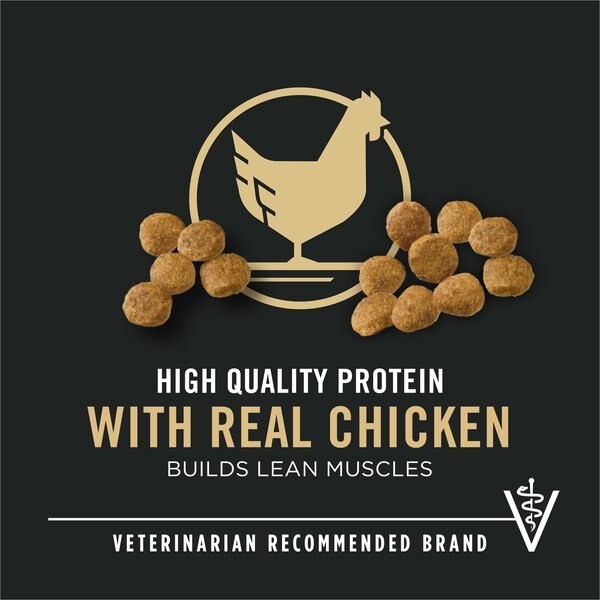 Chewy Purina Pro Plan High Protein Chicken & Rice Formula Dry Puppy Food 6-lb Bag