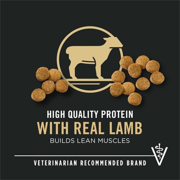 Chewy Purina Pro Plan High Protein DHA Lamb & Rice Formula Puppy Food 34-lb Bag