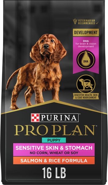 Chewy Purina Pro Plan Puppy Sensitive Skin & Stomach Salmon & Rice Dry Dog Food 16-lb bag